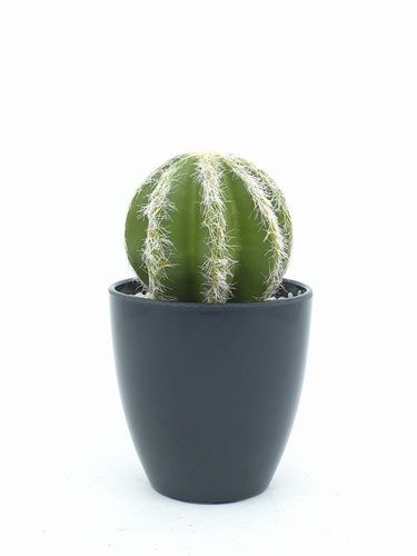 แคคตัสประดิษฐ์  XJLRD-23XRQ สูง 13CM