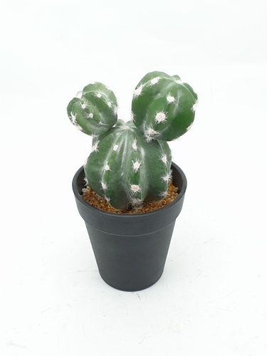 แคคตัสประดิษฐ์  XJLRD-29XRQ สูง 21CM