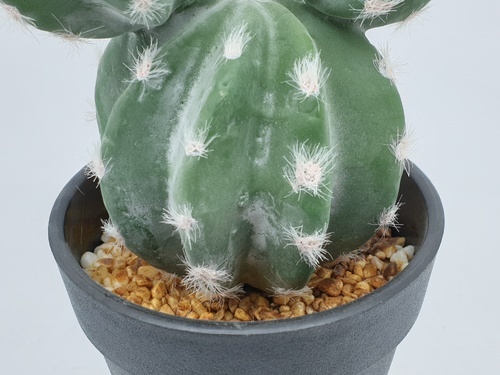 แคคตัสประดิษฐ์  XJLRD-29XRQ สูง 21CM