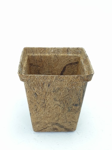 ផើងកាកដូង 3.5