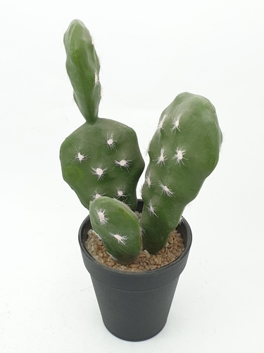 แคคตัสประดิษฐ์  XJLRD-19XRZ สูง 24CM