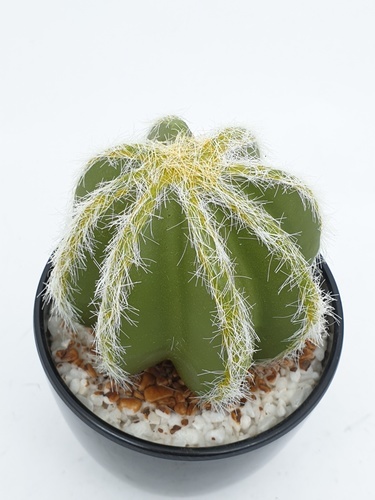 แคคตัสประดิษฐ์  XJLRD-23XRQ สูง 13CM