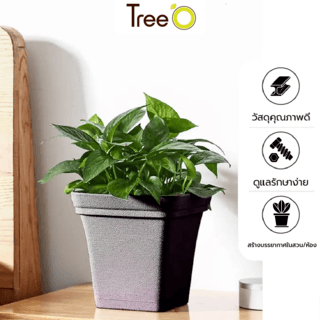 Tree  O กระถางต้นไม้ รุ่น 6PY024-GY ขนาด 25 x 25 x 24 ซม. (10นิ้ว) สีเทา