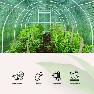 POLLO สแลน HDPE รุ่นSH1100-40  ขนาด2X100M 50%(หนึ่งเข็ม) สีเขียว