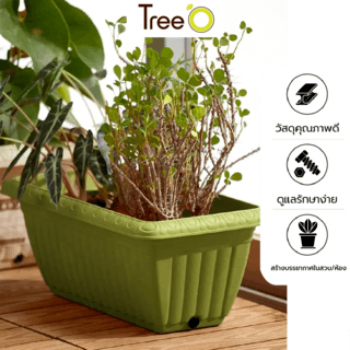 Tree‘O กระถางต้นไม้ทรงสี่เหลี่ยมผืนผ้า รุ่น6PY026-GN ขนาด20x37x15ซม.(8นิ้ว) สีเขียว