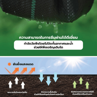 POLLO ผ้าพลาสติกคลุมวัชพืช PP รุ่นWDC210M ขนาด 2x10M สีดำ