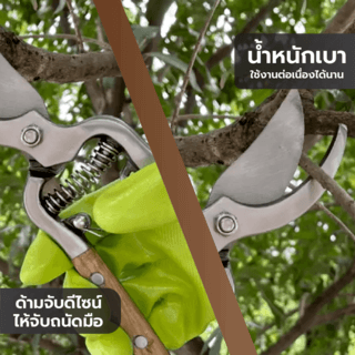 Tree O กรรไกรตัดกิ่งสแตนเลสด้ามไม้ รุ่นGP2124ขนาด10นิ้ว สีไม้