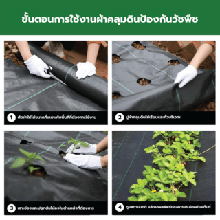 POLLO ผ้าพลาสติกคลุมวัชพืช PP รุ่นWDC210M ขนาด 2x10M สีดำ