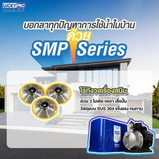 LUCKY ปั๊มอัตโนมัติหลายใบพัด แรงดันคงที่ 370C วัตต์ 220 โวล์ท
