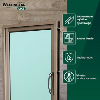 WELLINGTAN (LIKE) ประตูอะลูมิเนียม บานสวิงเดี่ยว กระจกเขียวใส W-AL/007 BR 100x205ซม. สีชา