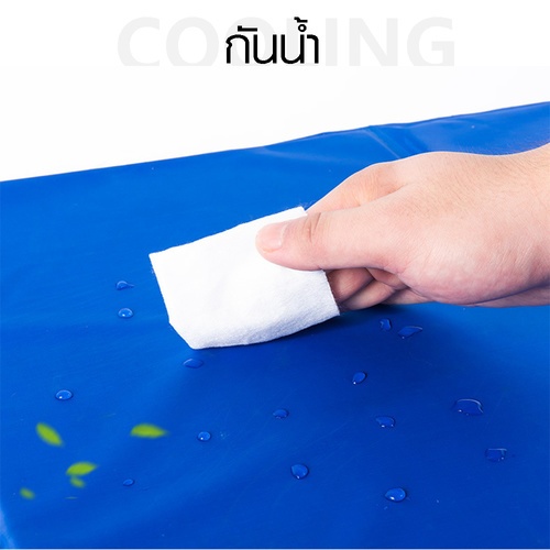 DUDUPETS แผ่นรองเย็นสำหรับสัตว์เลี้ยง ขนาด 50x90x1ซม. รุ่น HY001L สีน้ำเงิน