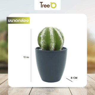 แคคตัสประดิษฐ์  XJLRD-23XRQ สูง 13CM