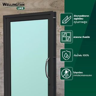 WELLINGTAN (LIKE) ประตูบาน SW ALU สวิง สีดำ กระจกเขียวใส 100x205ซม. W-AL/006 BL