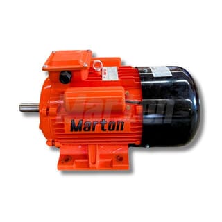 MARTON มอเตอร์ 3 แรง 2 สาย