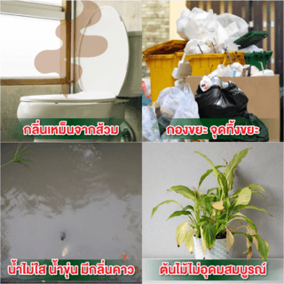EM POWDER  ย่อยไขมัน กำจัดกากของเสีย บำบัดน้ำเสีย ปรับสภาพน้ำ  250 กรัม