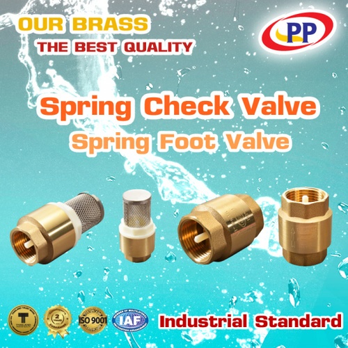 PP เช็ควาล์วสปริงทองเหลือง 3/4