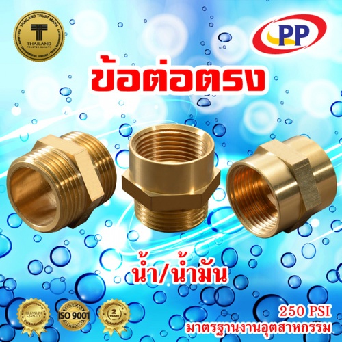 PP นิปเปิ้ลทองเหลือง ผผ. 1/2 รุ่น 300479