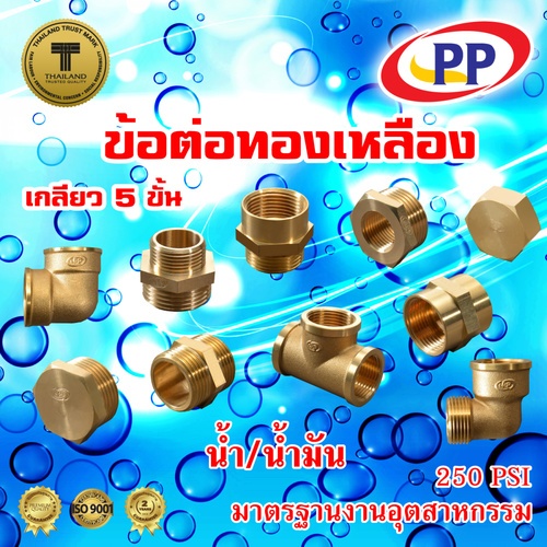 PP นิปเปิ้ลทองเหลือง ผผ. 1/2 รุ่น 300479