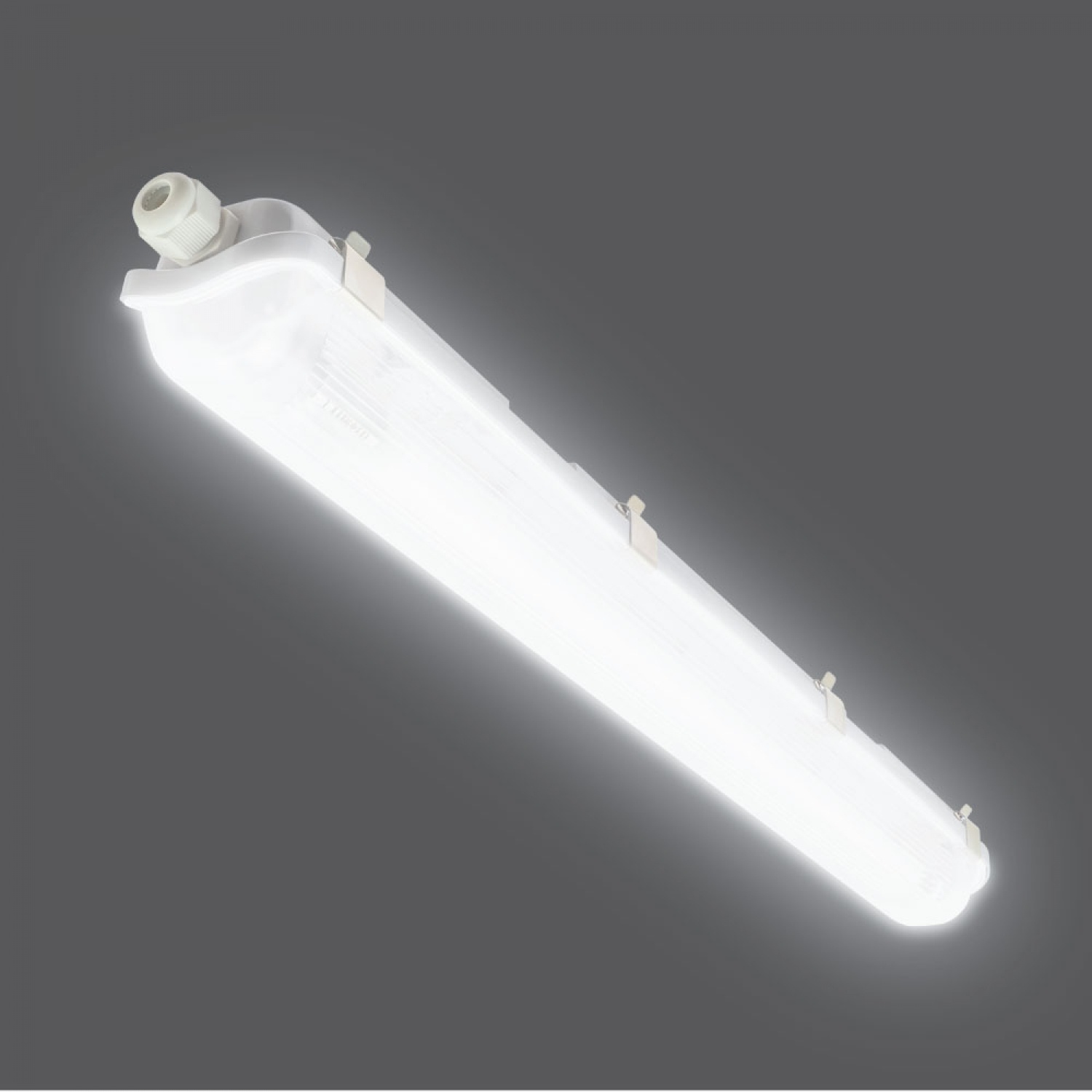 LAMPTAN โคมกันน้ำกันฝุ่นพร้อมหลอด LED T8 1X10W แสงเดย์ไลท์ รุ่นลิ้นการ์ด