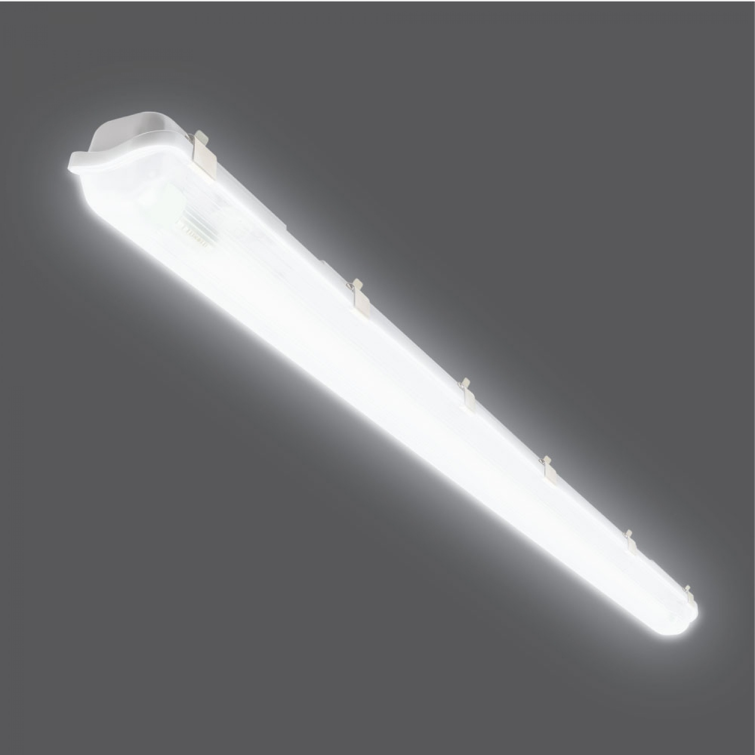 LAMPTAN โคมกันน้ำกันฝุ่นพร้อมหลอด LED T8 1X20W แสงเดย์ไลท์ รุ่นลิ้นการ์ด