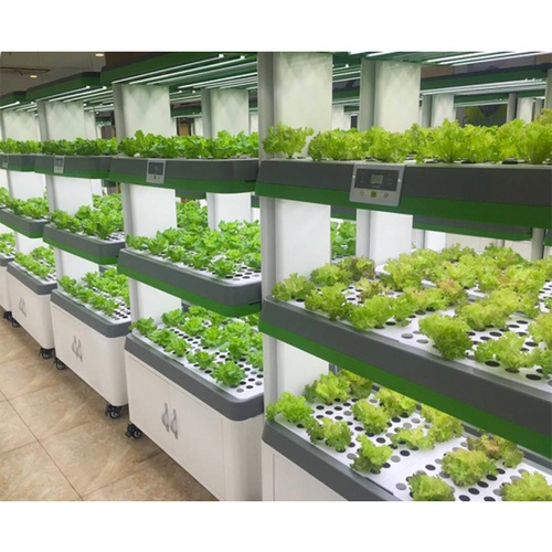 EILON หลอดไฟ LED T8 สำหรับเพาะปลูกพืช 8W ขนาด 600mm รุ่น WIN-60T8