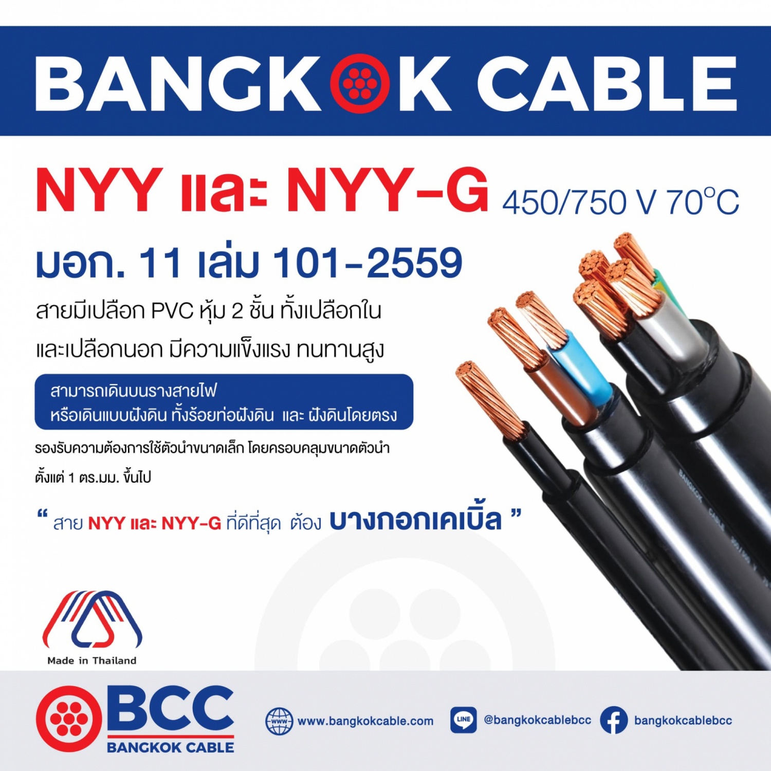 BCC สายไฟ NYY 1x2.5 ตร.มม. 100 m. สีดำ