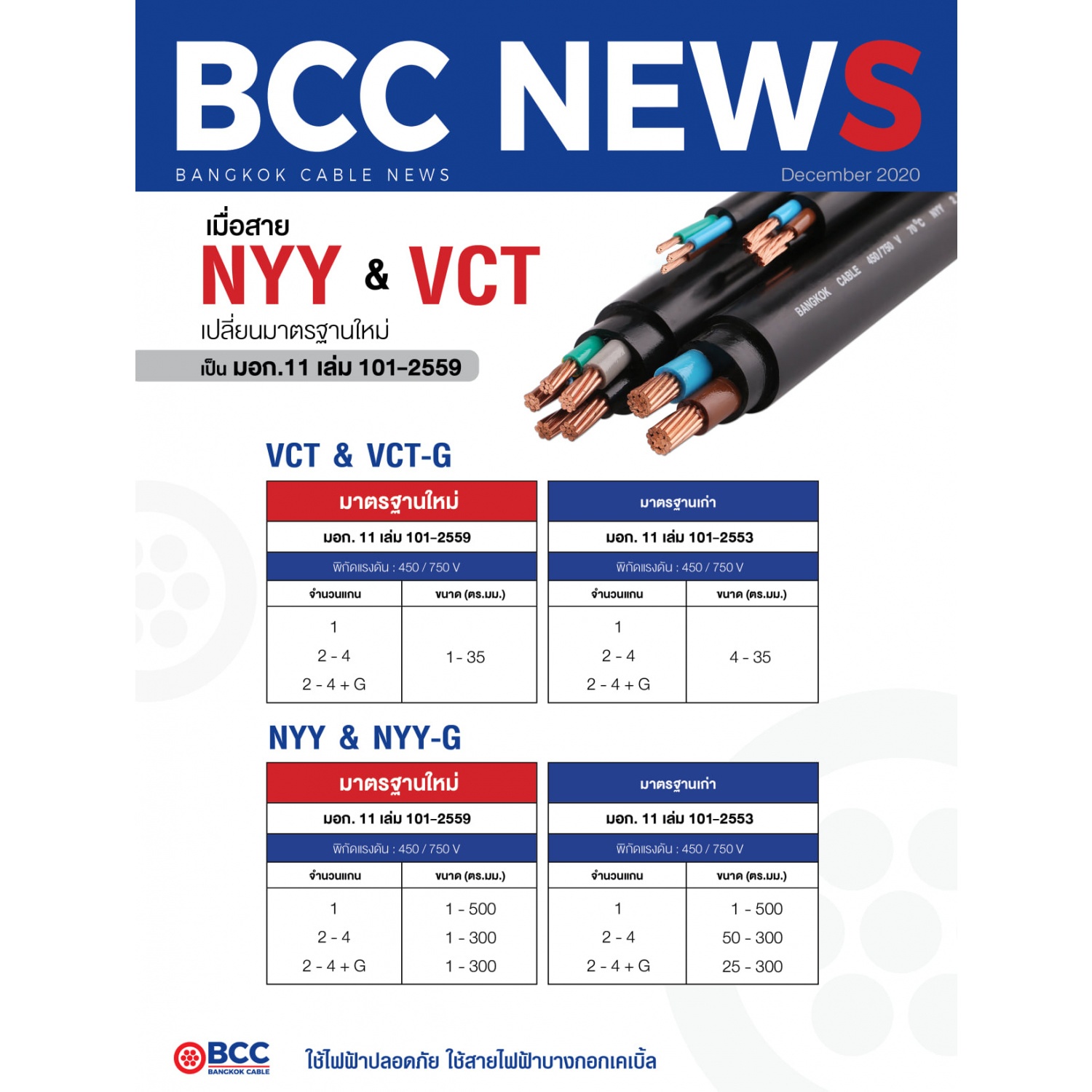 BCC สายไฟ NYY 1x2.5 ตร.มม. 100 m. สีดำ