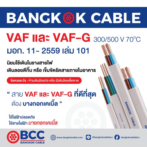 BCC สายไฟ VAF-GRD 2x1.5/1.5 ตร.มม. 100 m. สีขาว