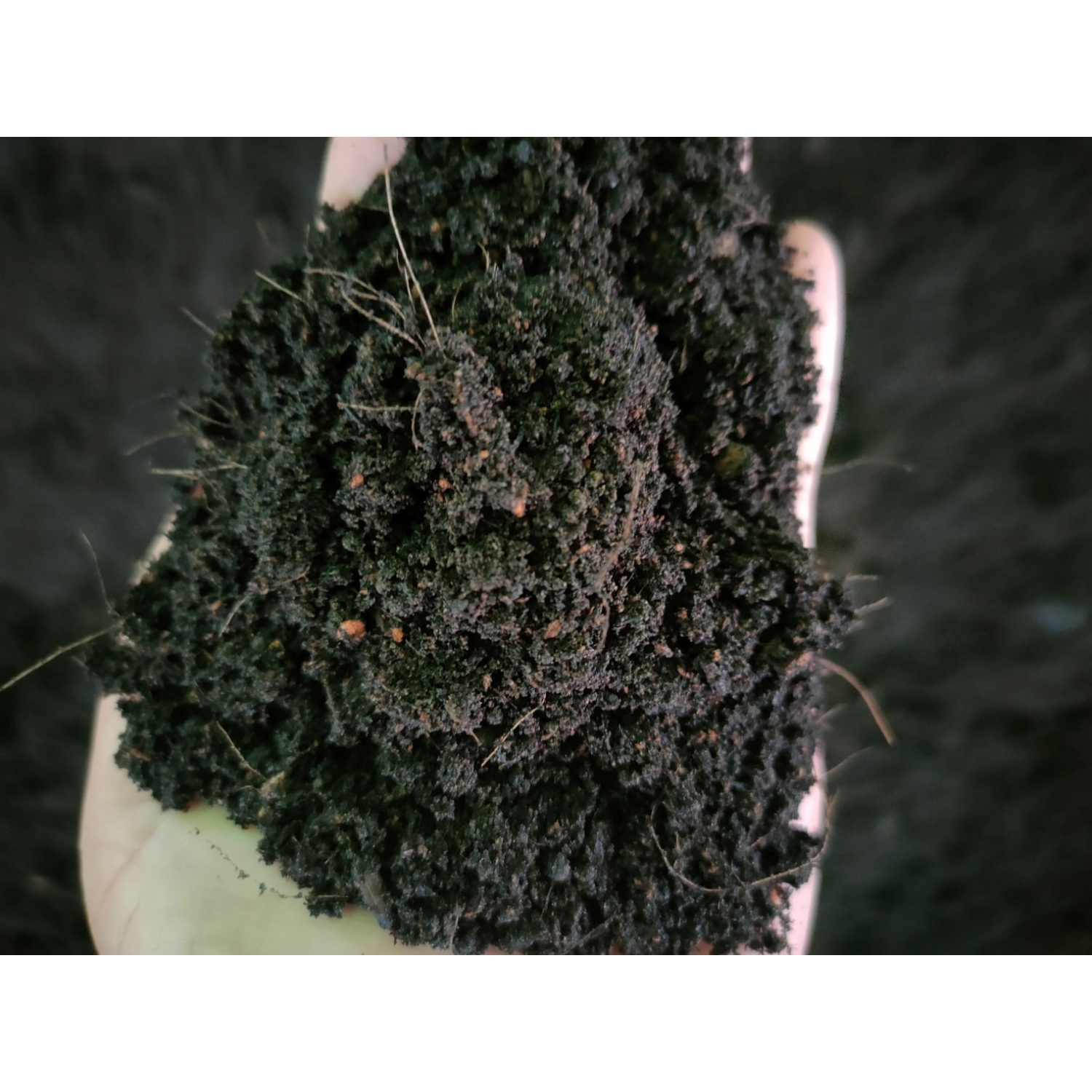 ดินหมักออแกนิค ตรา ปลาวาฬพรีเมี่ยม ขนาด 20กก.