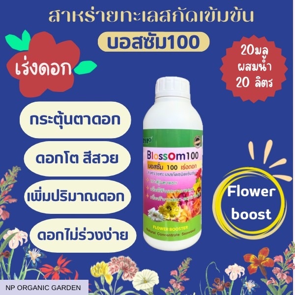 NP บอสซั่ม เร่งดอก  (BLOSSOM) 1 ลิตร
