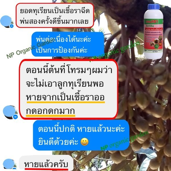 NP แอนติรา เอ็นไซม์ต้านเชื้อรา (AntiRa 1 ลิตร)