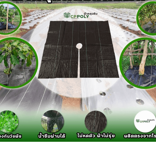 CP ผ้าพลาสติก คลุมวัชพืช ชนิดคลุมโคนต้น ขนาด 0.9x1M.(5/แพ็ค)