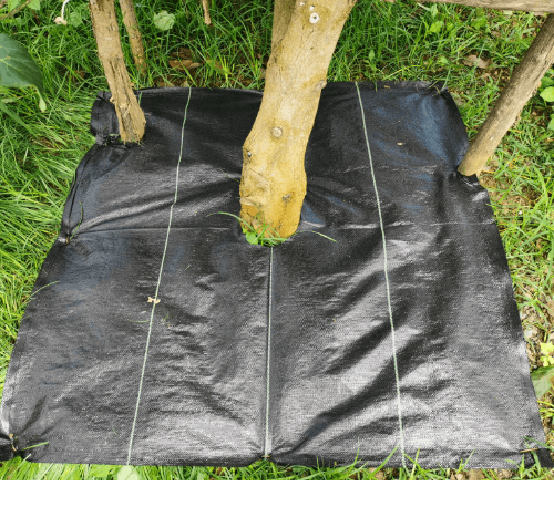 CP ผ้าพลาสติก คลุมวัชพืช ชนิดคลุมโคนต้น ขนาด 0.9x1M.(5/แพ็ค)