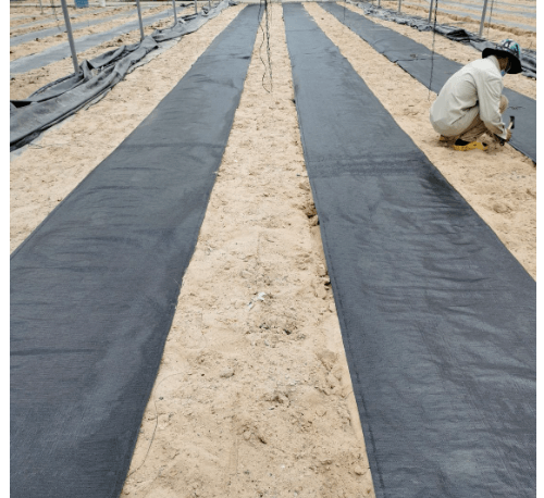 CP ผ้าพลาสติก คลุมวัชพืช 0.9x20M.