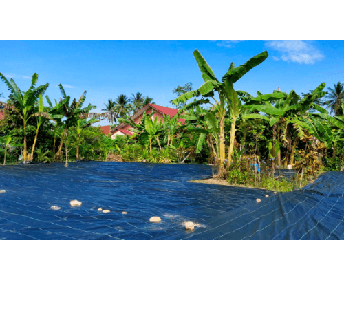 CP ผ้าพลาสติก คลุมวัชพืช 0.9x20M.