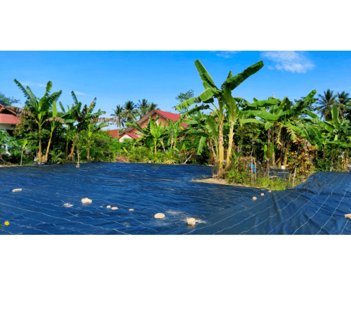 CP ผ้าพลาสติกคลุมวัชพืช 0.9x50M.