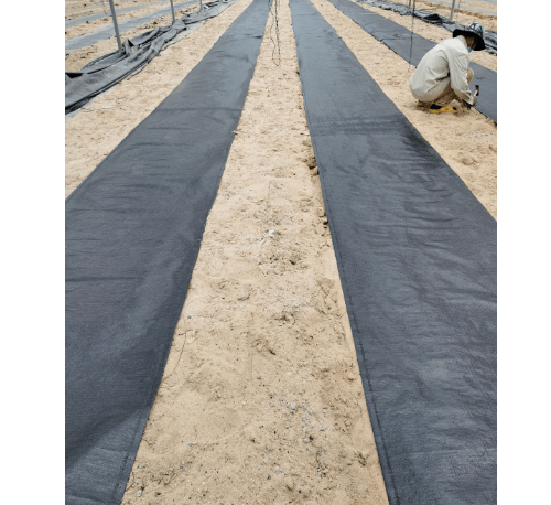 CP ผ้าพลาสติกคลุมวัชพืช 0.9x50M.