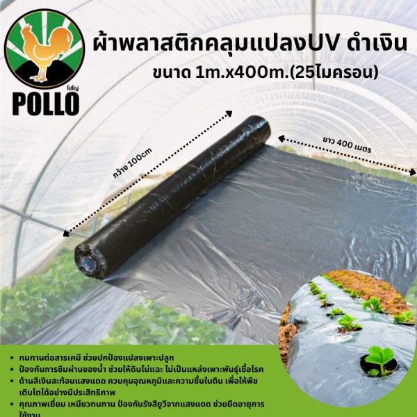 POLLO พลาสติกคุลมแปลง 1m.x400m.x25mic UV ดำเงิน