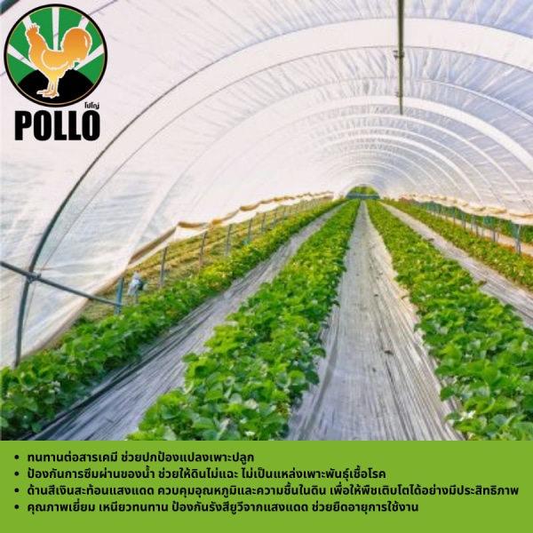 POLLO พลาสติกคุลมแปลง 1m.x400m.x25mic UV ดำเงิน