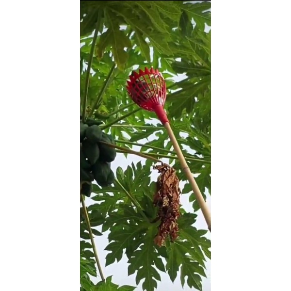 ตะกร้อสอยมะละกอ สีแดง 17.5x36.5x17.5 ซม.