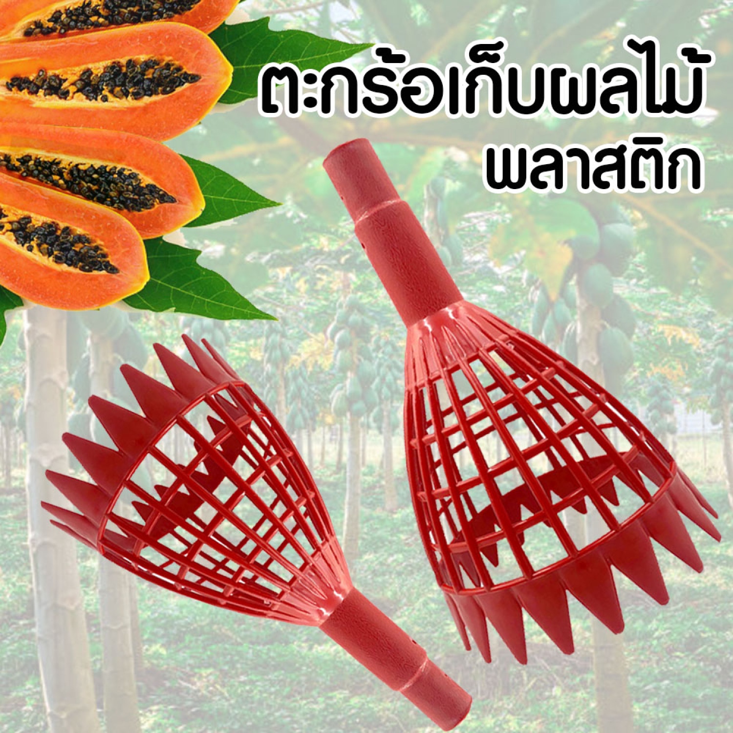 ตะกร้อสอยมะละกอ สีแดง 17.5x36.5x17.5 ซม.