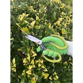 Tree’O กรรไกรแต่งกิ่งเล็ก รุ่นTL2062 ขนาด8-5/8 สีเขียว