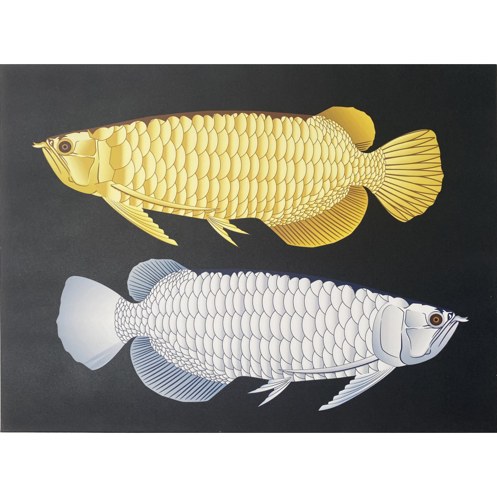 NICE ภาพพิมพ์ผ้าใบ Fengshui C7050-8 ขนาด 50x70ซม. ปลาเงินปลาทองนำโชค 
