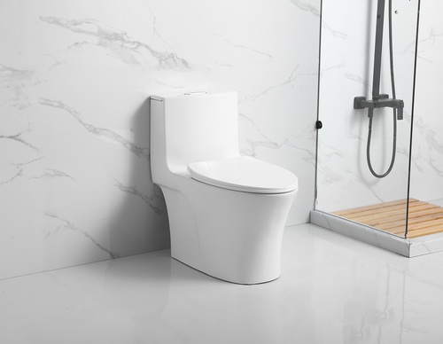 Verno สุขภัณฑ์ชิ้นเดียว รุ่น เรโน่พลัช VN-2205N