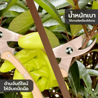 Tree’O กรรไกรตัดกิ่งสแตนเลสด้ามไม้ รุ่นGP2072ขนาด8นิ้ว สีไม้