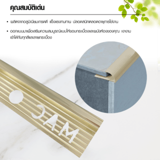 MAC คิ้วกระเบื้องอลูมิเนียม แบบโค้ง ขนาด 10 มม. ยาว 2 เมตร รุ่นDS-05-PG สีทองเงา