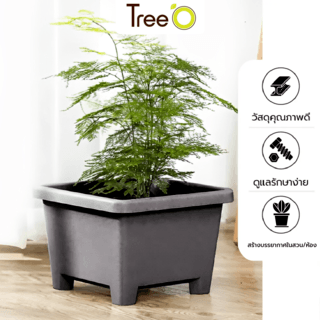 Tree  O กระถางต้นไม้ รุ่น 6PY008-GY ขนาด 27.6 x 27.6 x 19 ซม. (12นิ้ว) สีเทา