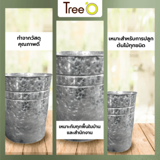 Tree’O กระถางสังกะสี ขนาด 12ซม. รุ่น6YT004-2