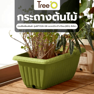 Tree‘O กระถางต้นไม้ทรงสี่เหลี่ยมผืนผ้า รุ่น6PY026-GN ขนาด20x37x15ซม.(8นิ้ว) สีเขียว