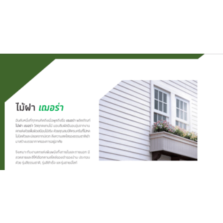เฌอร่า ไม้ฝา รุ่นขอบตรง ลายสัก 0.8x15x300ซม. สีแดงเชอรี่